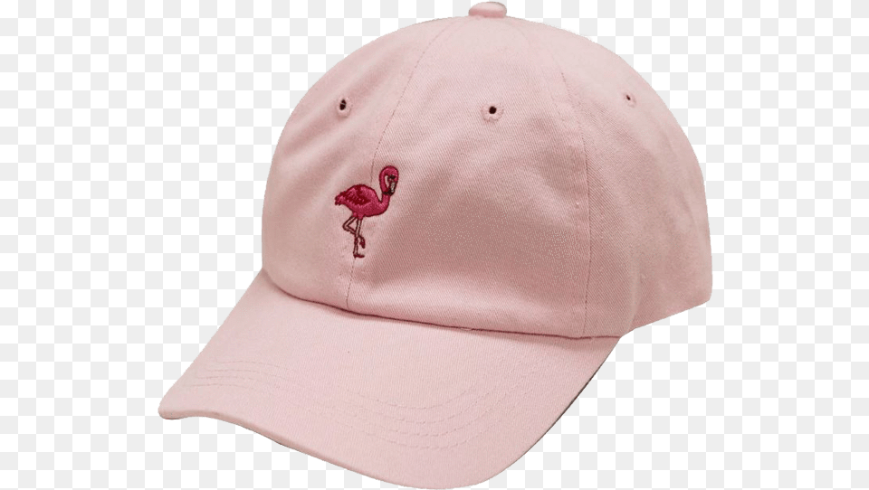 Cap, Baseball Cap, Clothing, Hat, Animal Free Png Download