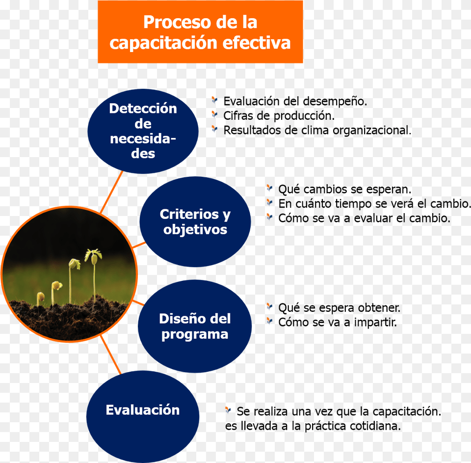 Capa Proceso Proceso De Capacitacion De Personal, Outdoors, Nature, Night Png Image