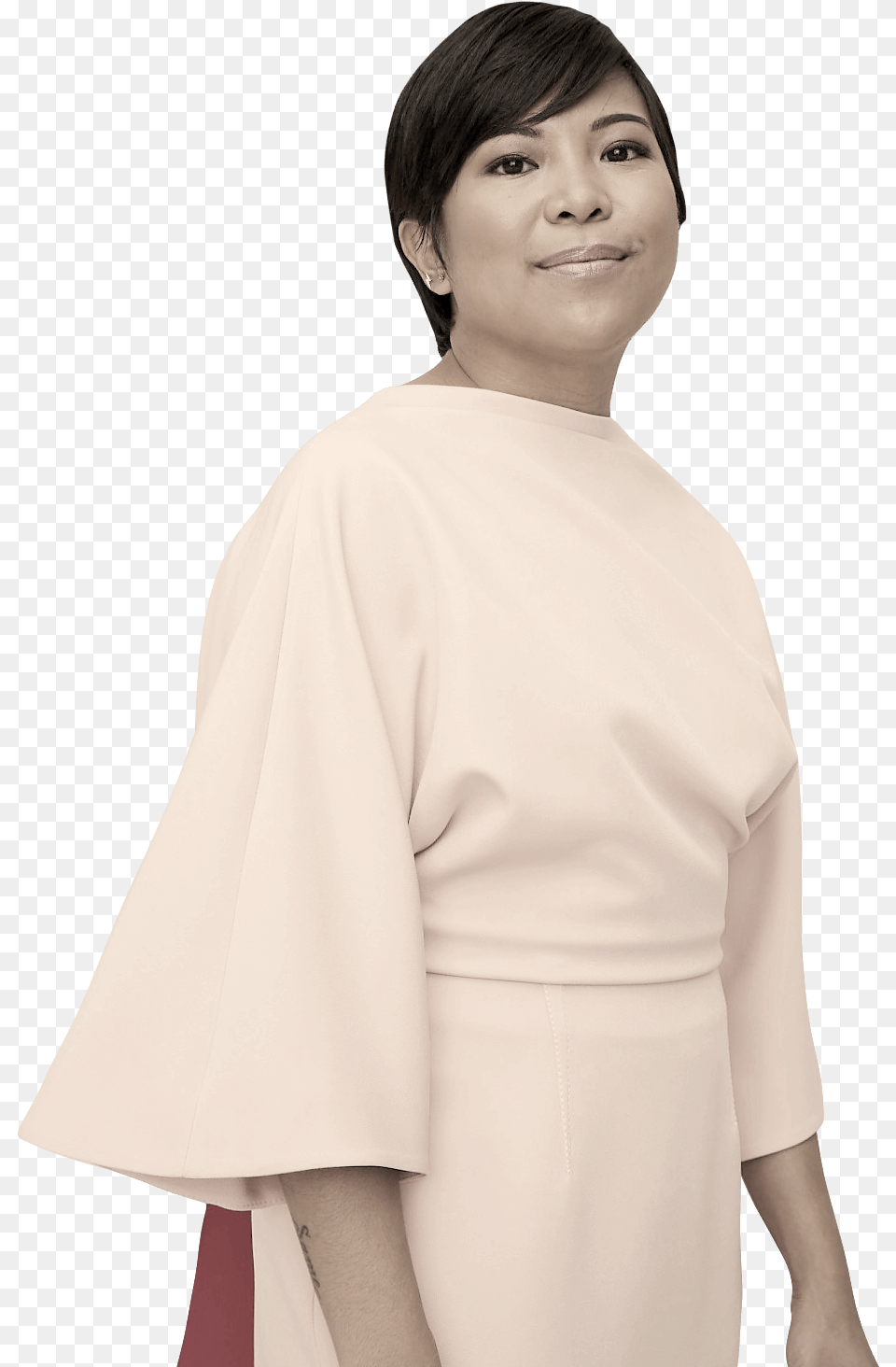 Cape, Adult, Person, Gown, Formal Wear Png