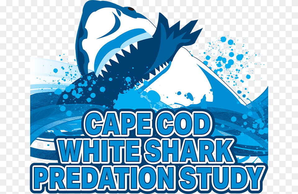 Cape Cod White Shark Predation Study Logo Limp Bizkit, Ice, Outdoors, Nature, Animal Free Png