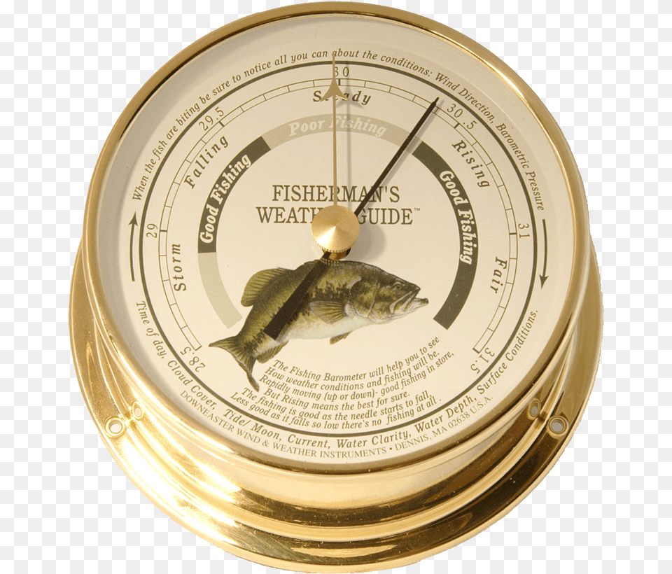 Cape Cod Wind U0026 Weather And Downeaster Wind U0026 Fishing Barometer, Animal, Fish, Sea Life Free Transparent Png