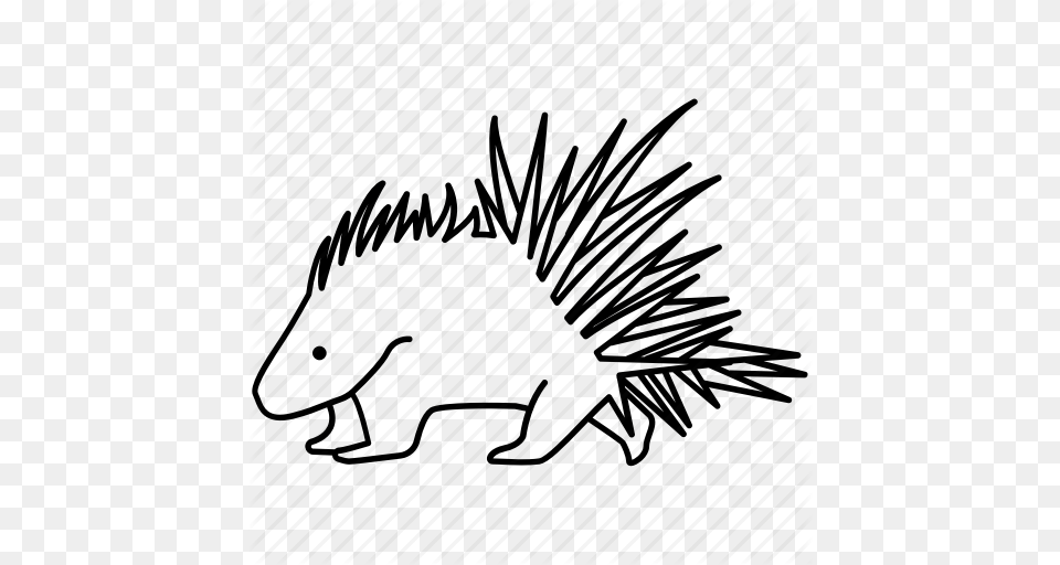 Cape Crested Mammal Porcupine Quills Rodent Spines Icon, Text, Art, Drawing Png Image