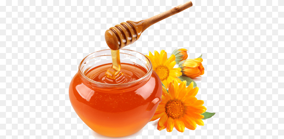 Capella Honey Flavouring, Food, Ketchup Free Png