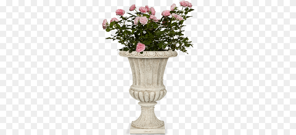 Capi Classic Capi Europe Classic Flower Pot, Pottery, Potted Plant, Planter, Plant Png Image