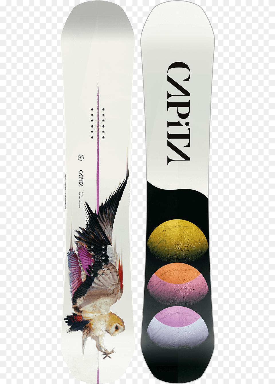 Capita Birds Of A Feather Womens Snowboard, Animal, Bird, Vulture Free Transparent Png