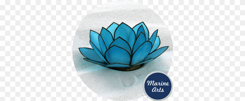 Capiz Lotus Flower Light Blue 100mm Marine Arts Nymphaea Nelumbo, Pottery, Art, Porcelain, Plant Png Image