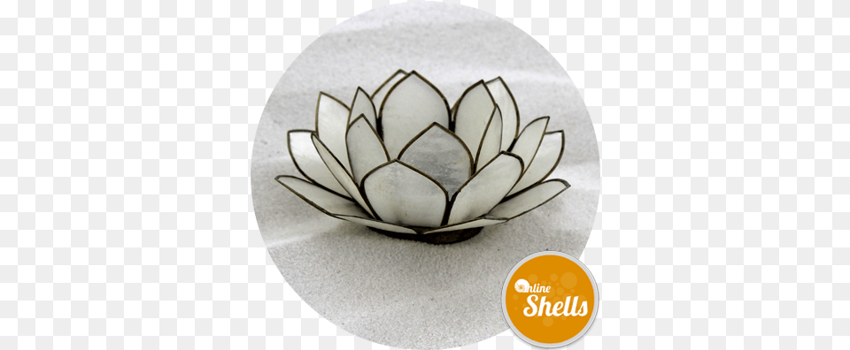 Capiz Shells Lotus Flower Natural White 100mm Online Decorative, Pottery, Art, Porcelain, Saucer Free Png