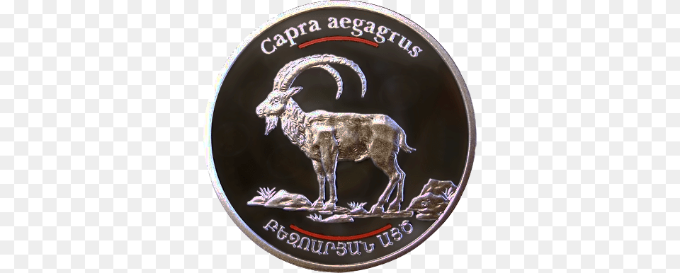 Capra Aegagrus Armenian Coin 2008 Bezoar Ibex, Animal, Antelope, Mammal, Wildlife Free Transparent Png