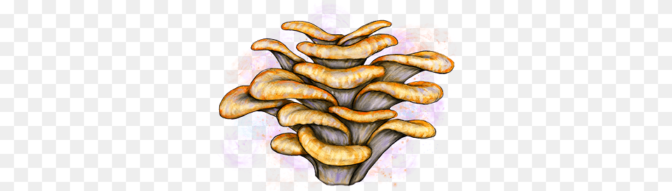 Caps By Cookies Sketch, Art, Fungus, Plant Png