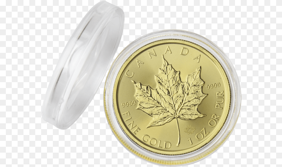 Capsule 30 Mm Coin, Leaf, Plant, Silver, Wristwatch Free Png