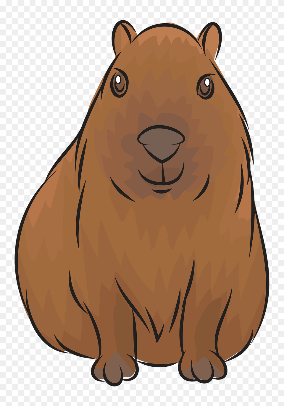 Capybara Clipart, Animal, Mammal, Rodent, Pig Free Png Download