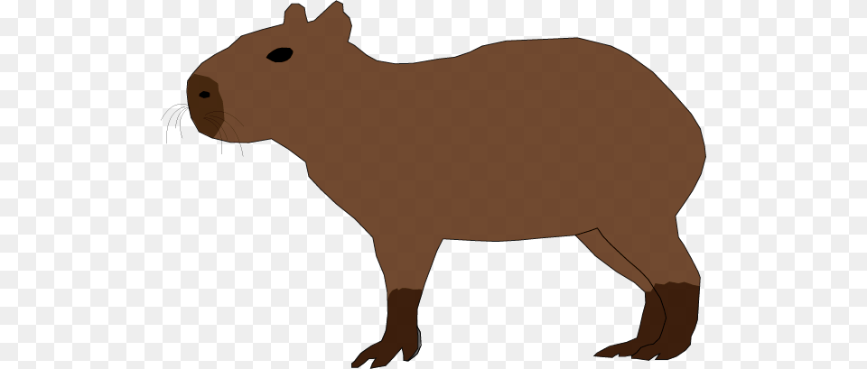 Capybara Clipart Rodent, Animal, Mammal, Canine, Dog Free Transparent Png