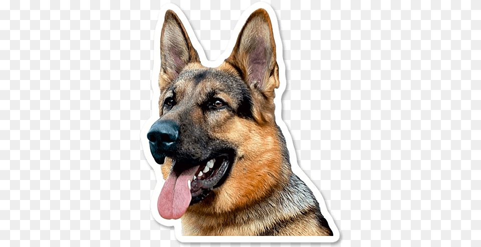 Car Amp Motorbike Stickers German Shepherd Dog Portrait Counted Cross Stitch Pattern, Animal, Canine, German Shepherd, Mammal Png Image