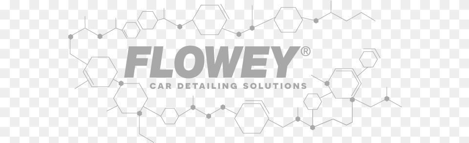 Car Detailing Solutions Products Flowey Car Wash Png Image
