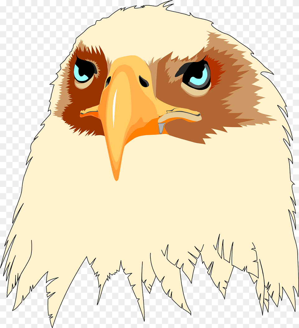 Cara De Aguila Animada, Animal, Beak, Bird, Eagle Free Transparent Png