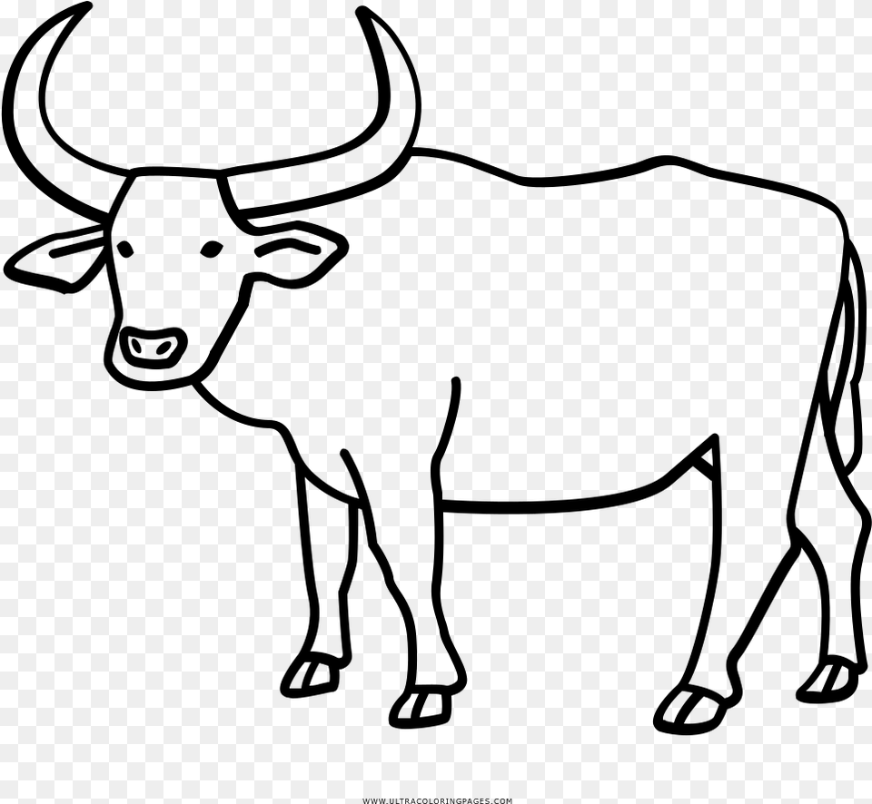 Carabao Clipart Black And White, Gray Png