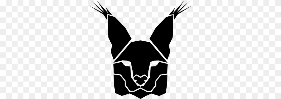 Caracal Gray Png Image