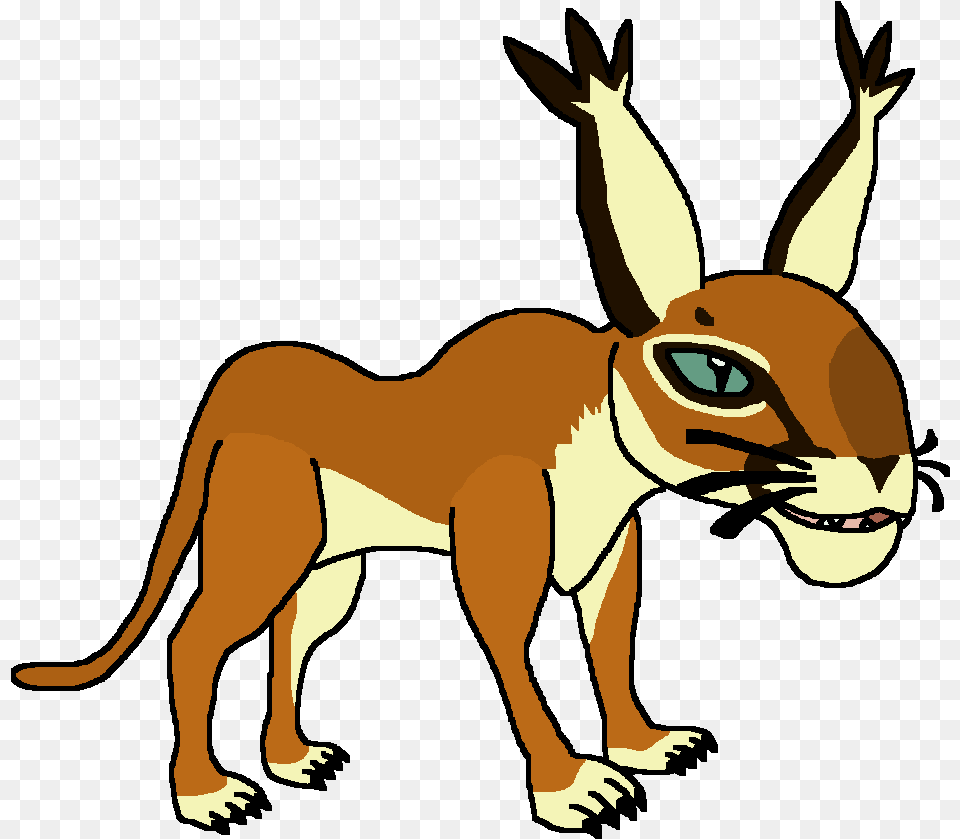 Caracal Wiki, Baby, Person, Face, Head Png