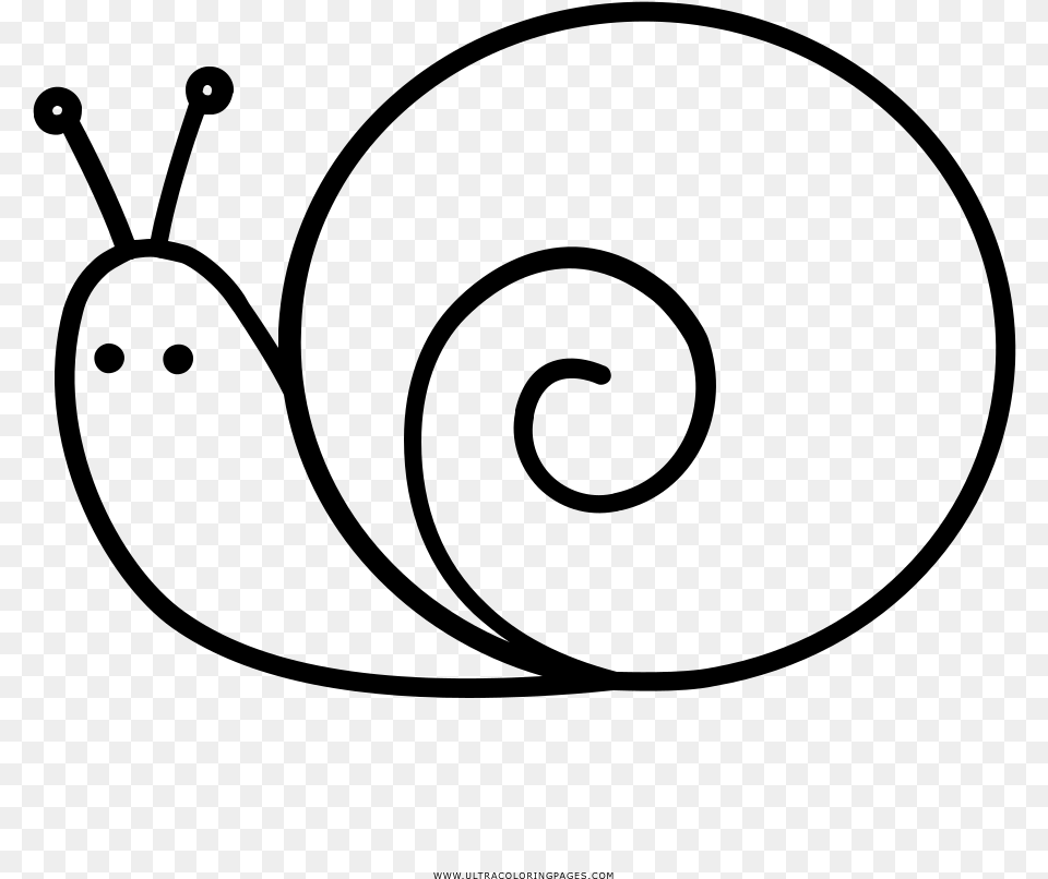 Caracol Pgina Para Colorear Clipart Black And White Images Of Snail, Gray Png