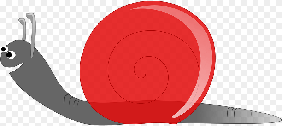 Caracol Snail Speed Low, Frisbee, Toy Png