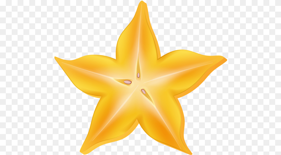 Carambola Star Fruit Clip Art Star Fruit Clipart, Star Symbol, Symbol, Animal, Fish Png