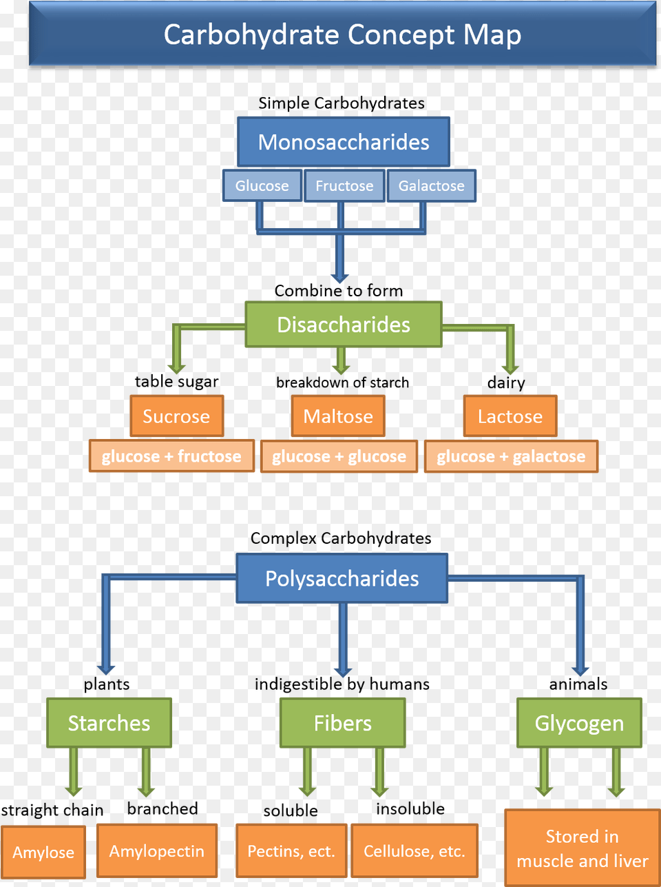Carbohydrate Concept Map Simple Concept Map Of Carbohydrates, Gas Pump, Machine, Pump Free Transparent Png
