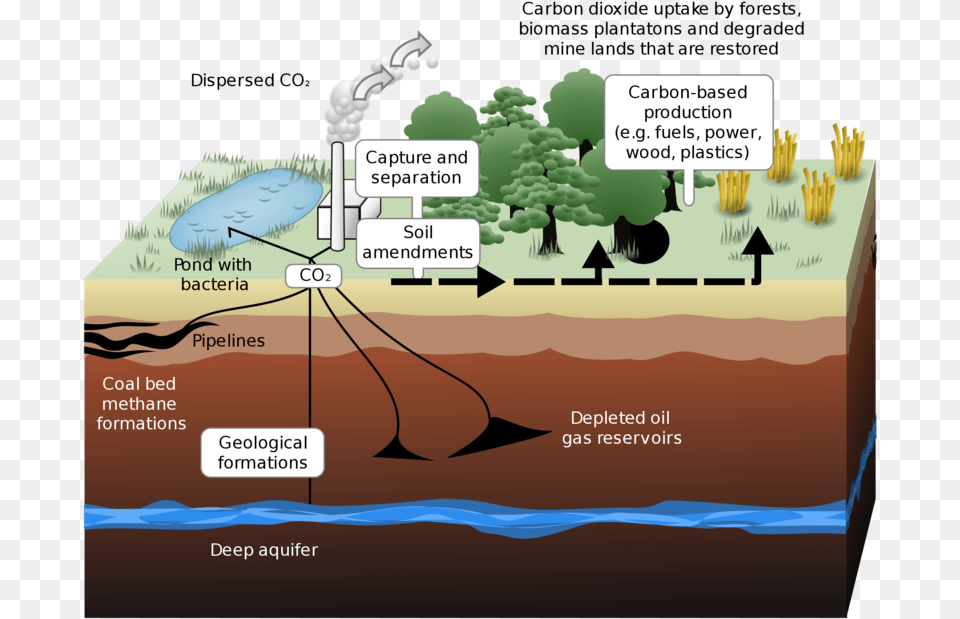 Carbon Capture Carbon Capture And Storage, Vegetation, Plant, Outdoors, Nature Free Png