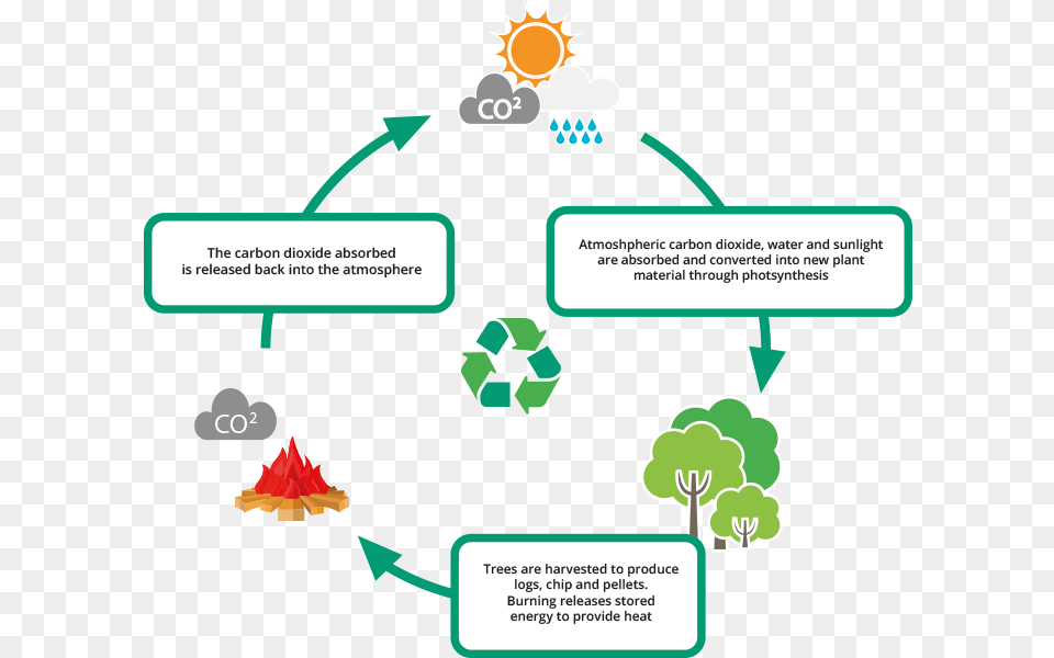 Carbon Cycle Burning Wood Carbon Dioxide Release, Text, Person Free Png Download