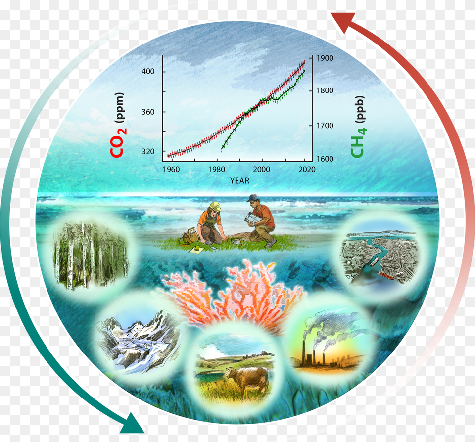 Carbon Cycle Of Coral Reefs, Nature, Outdoors, Sea, Water Free Png Download