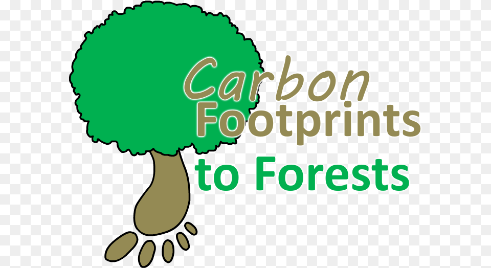 Carbon Footprints To Forests Carbon Footprint For A Tree, Green, Baby, Person Free Png