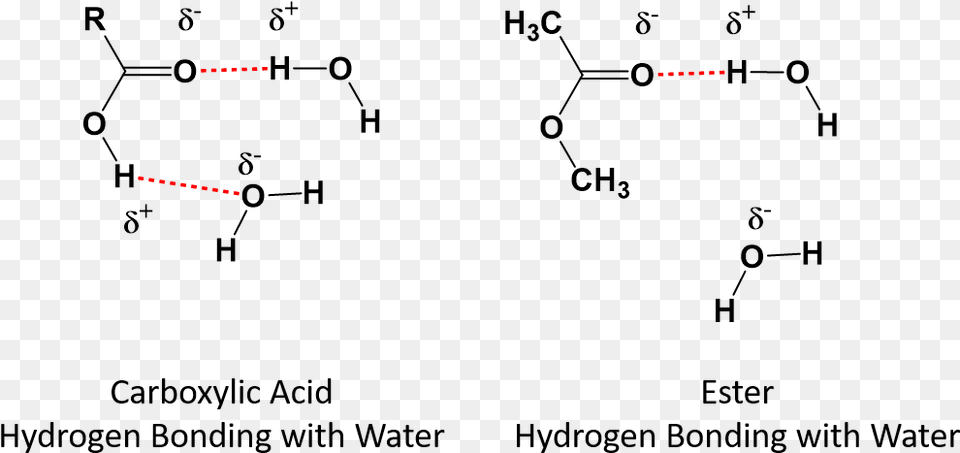 Carboxylic Acid Hydrogen Bonding With Water, Nature, Night, Outdoors Free Png Download