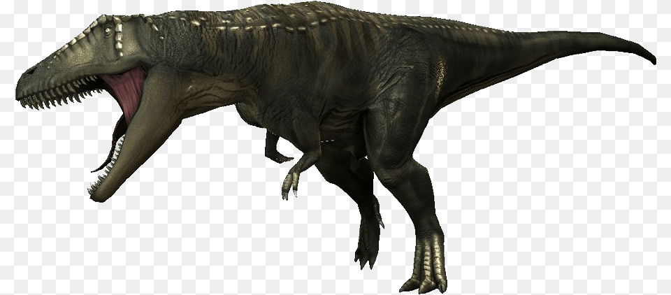 Carcharodontosaurus Dinosaur Revolution T Rex, Animal, Reptile, T-rex Free Png