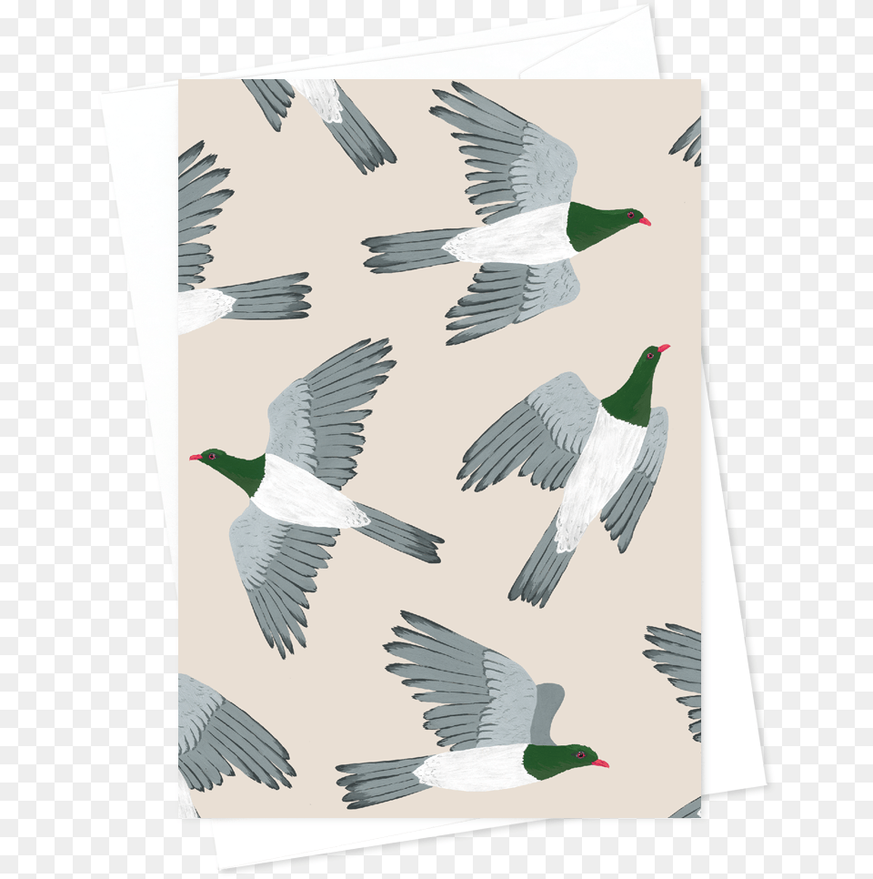 Card And Envelope Pattern Kereru Creative Arts, Animal, Bird, Pigeon, Waterfowl Png