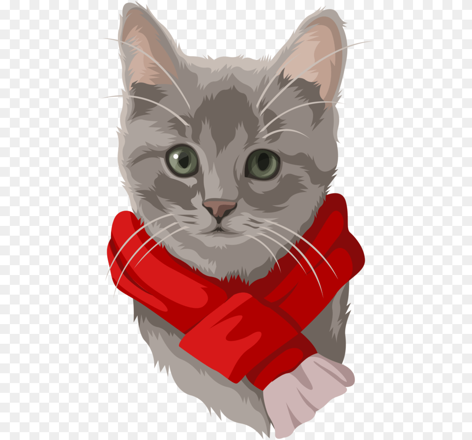 Card Gray Cat2 Kitten, Accessories, Formal Wear, Tie, Clothing Png