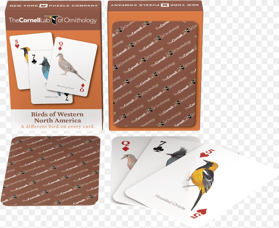 Card Suit, Animal, Bird, Text, Penguin Free Png