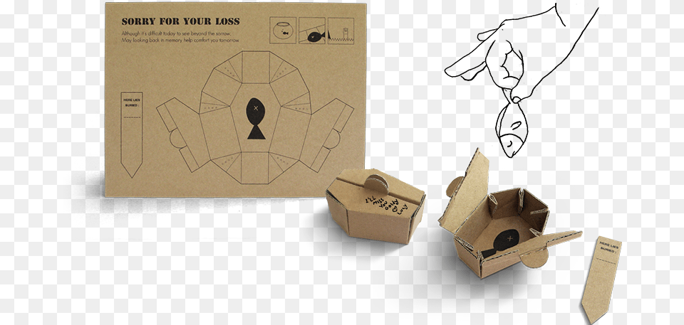Cardcoffin Carton, Box, Cardboard, Package, Package Delivery Free Png Download