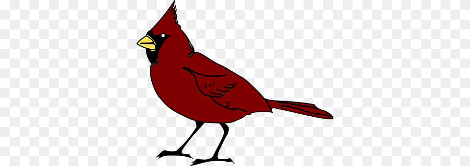 Cardinal Animal, Bird Free Png Download