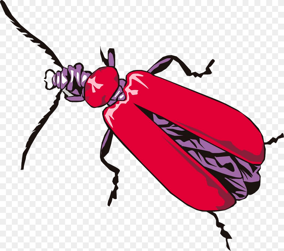 Cardinal Beetle Clipart, Animal, Dynamite, Weapon, Firefly Png Image