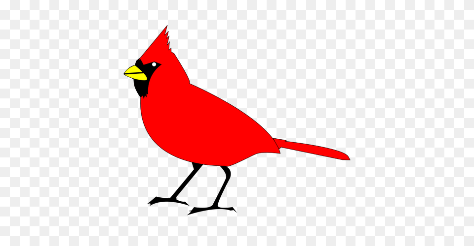 Cardinal Bird Vector Clip Art, Animal Free Png Download