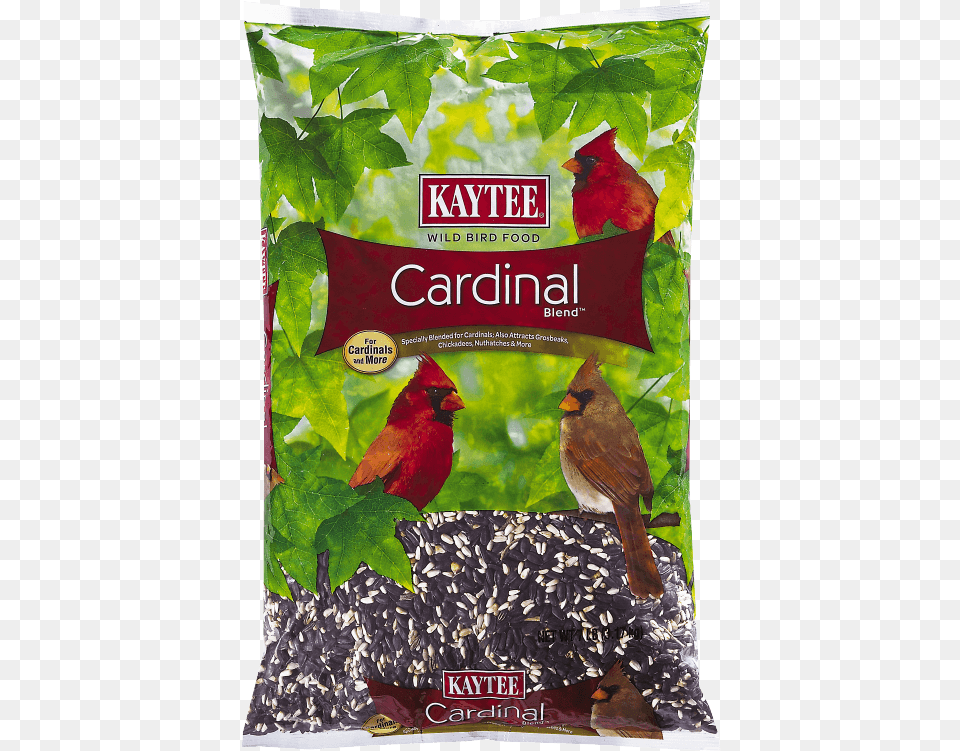 Cardinal Blend Wild Bird Seed Kaytee Cardinal, Animal Free Png Download