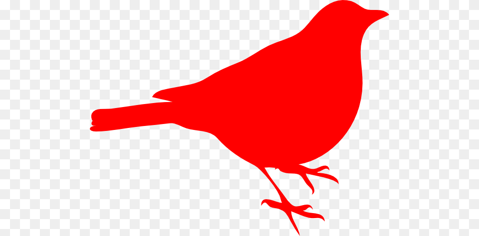 Cardinal Clip Art, Animal, Bird, Food, Ketchup Png Image