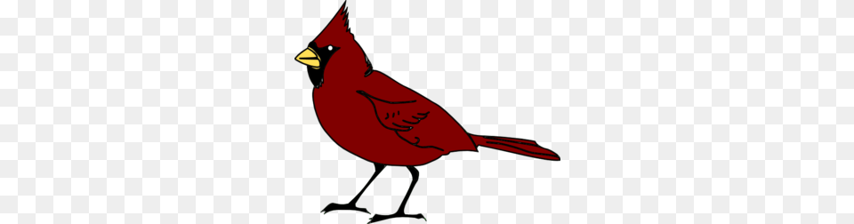 Cardinal Clip Art Pta Spirit Wear Clip Art Spirit, Animal, Bird Free Png Download