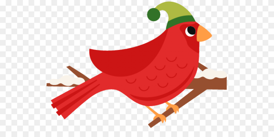 Cardinal Clipart, Animal, Bird, Beak Free Png