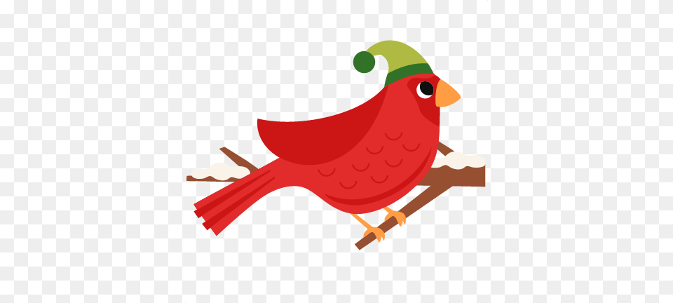 Cardinal Clipart, Animal, Bird Png Image