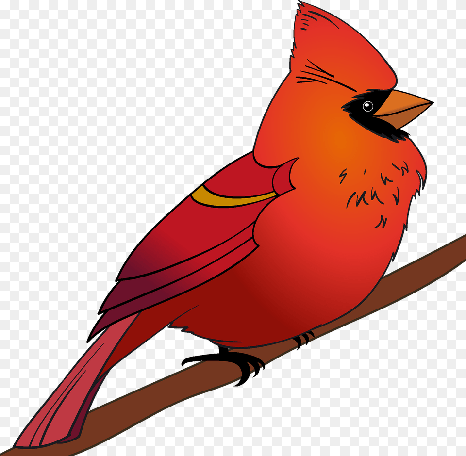 Cardinal Clipart, Animal, Bird, Fish, Sea Life Free Png