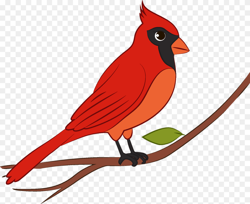 Cardinal Clipart, Animal, Bird Png Image