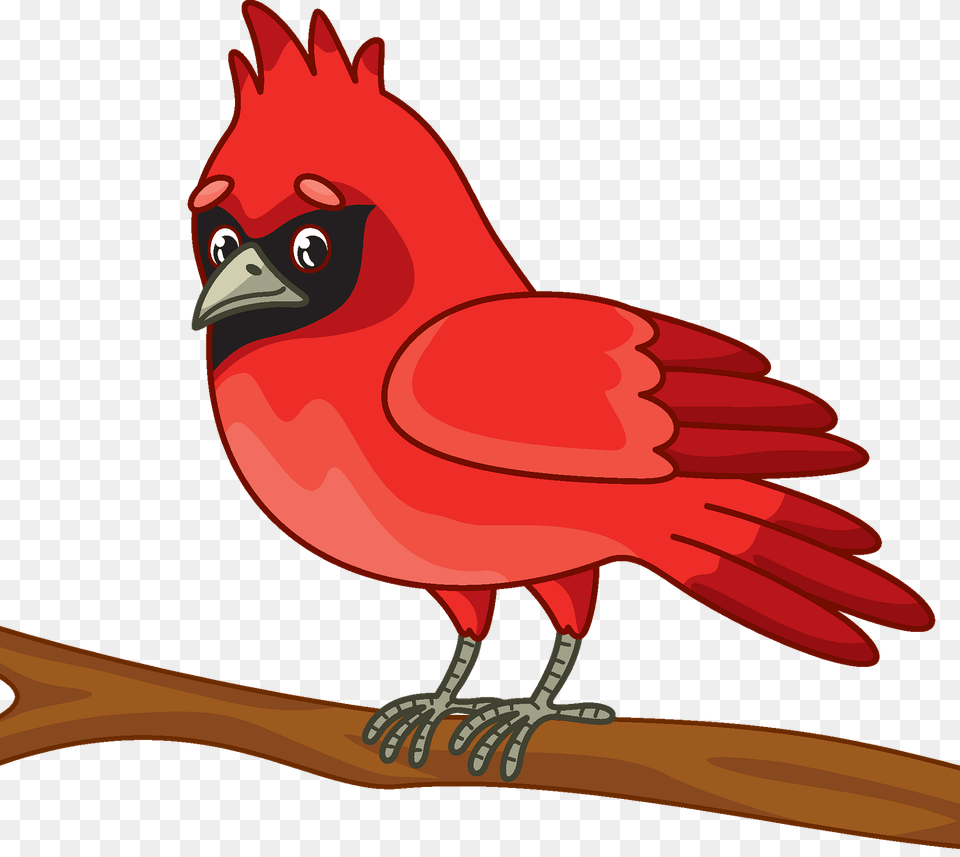 Cardinal Clipart, Animal, Bird, Beak, Kangaroo Png