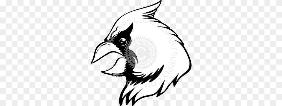 Cardinal Clipart Face, Animal, Beak, Bird, Jay Free Transparent Png