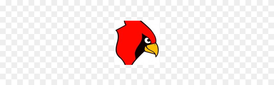 Cardinal Clipart Volleyball, Animal, Beak, Bird, Logo Free Transparent Png