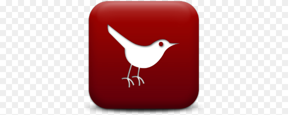 Cardinal Morons Twitter Icon, Animal, Beak, Bird, Wren Free Png